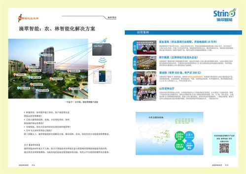 互联网公司、科技与网络技术服务的内在联系